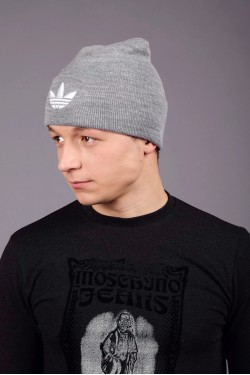 Мужская спортивная шапка Adidas Grey